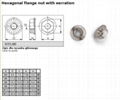 Hex Flange head bolt 2