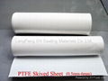 PTFE Sheet  3