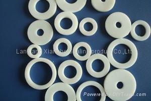 (Expanded) PTFE gasket (Ring) 2