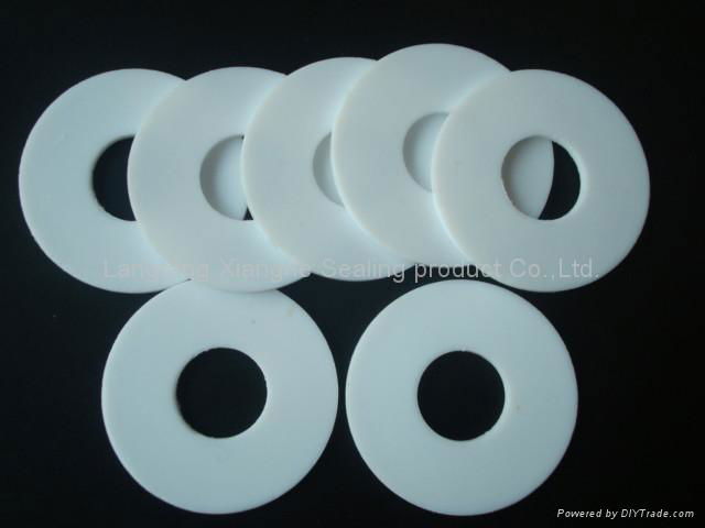 (Expanded) PTFE gasket (Ring) 3