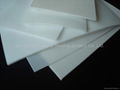 PTFE Sheet  5