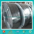 galvanized steel strip