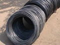 black annealed wire 1