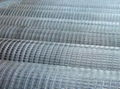 Welded Wire Mesh