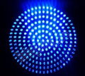 LED plant grow light