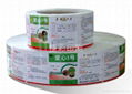 Roll Packed Adhesive Label For Medicine 3