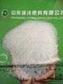 Ammonium Sulfate 2