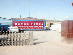 Shandong LVFENG FERTILIZER CO.,LTD