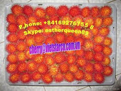 Fresh Frozen Rambutan - best crop with competitive price