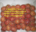 Fresh Frozen Rambutan - best crop with competitive price 3