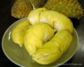 FRESH FROZEN DURIAN  2