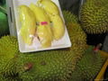 FRESH FROZEN DURIAN  3