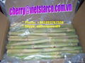 FROZEN SUGAR CANE 1