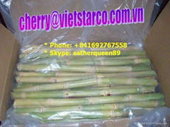 FROZEN SUGAR CANE