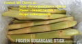 FROZEN SUGAR CANE 2