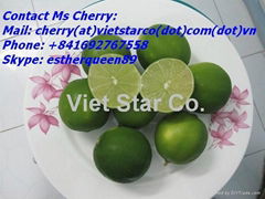 FRESH SEEDLESS LIME OR GREEN MELON