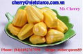 FRESH FROZEN DURIAN  5