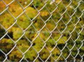 Chainlink fence