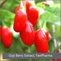 Goji Berry Extract 40% Polysaccharides