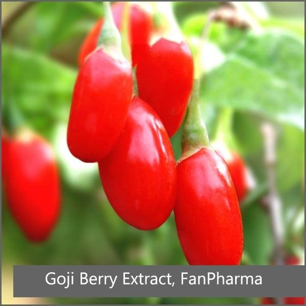 Goji Berry Extract 40% Polysaccharides