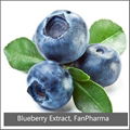 Blueberry Extract 25% Anthocyanidins UV 1