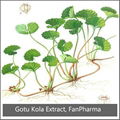 Centella Asiatica Extract 20% Total