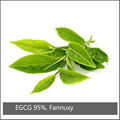 EGCG 95%, Fannuxy® 1