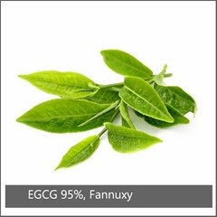 EGCG 95%, Fannuxy®