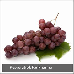 Resveratrol 10% (grape source)