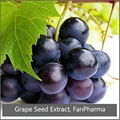 Grape Seed Extract 85% Polyphenols