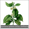 Gymnema Sylvestre Extract 25% Gymnemic Acid