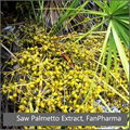 Saw Palmetto Extract 25% Fatty Acid 1