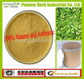 Hibiscus Esculentus Fruit Extract 1