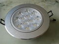 LED commercial lamp