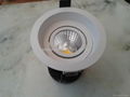 downlight 2