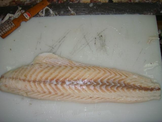Offer :Frozen oilfish fillet 3
