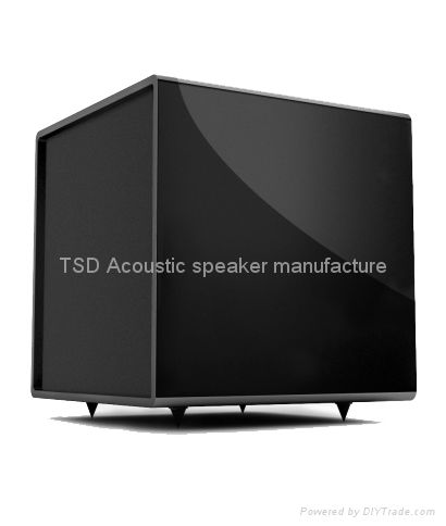 K12S 650W active subwoofer 3