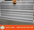 Marmara White Marble  1