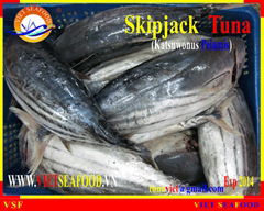 FROZEN W/R SKIPJACK TUNA