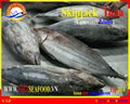 FROZEN W/R SKIPJACK TUNA 2