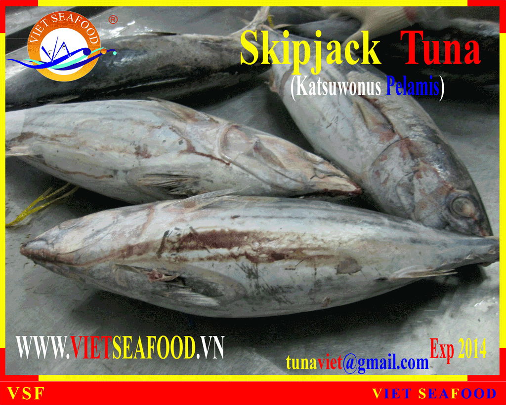 FROZEN W/R SKIPJACK TUNA 3