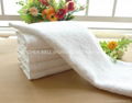 Hotel Bath Towel 1