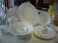 OPAL  GLASSWARE DINNER SET