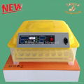 CE New Design Family Use Fully Automatic 48 Eggs Incubator mini incubator 1