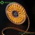 60LEDs/meter Flexible SMD3528 led strip 3