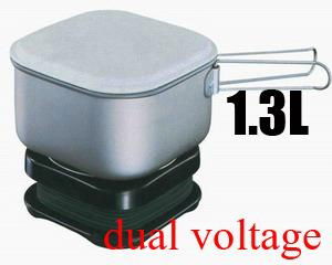 travel kettle with dual voltage 2
