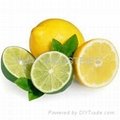 Natural Lemon ( Citrus ) Powder