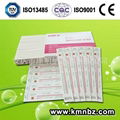 EO Indicator Sterilization Card 5