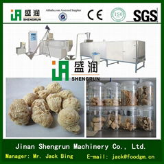 Soya N   ets Chunks Machine