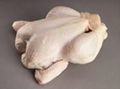 Halal Whole Chicken